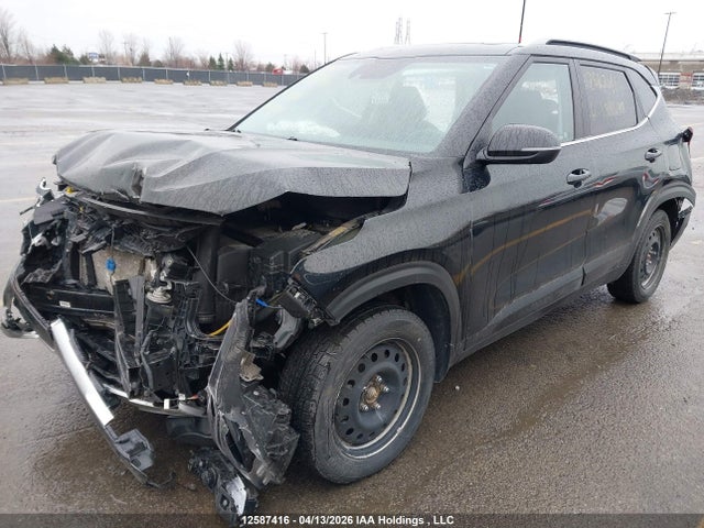 Продаж на аукціоні авто 2024 Kia Seltos, vin: KNDEUCAA5R7594897, номер лоту: 12587416