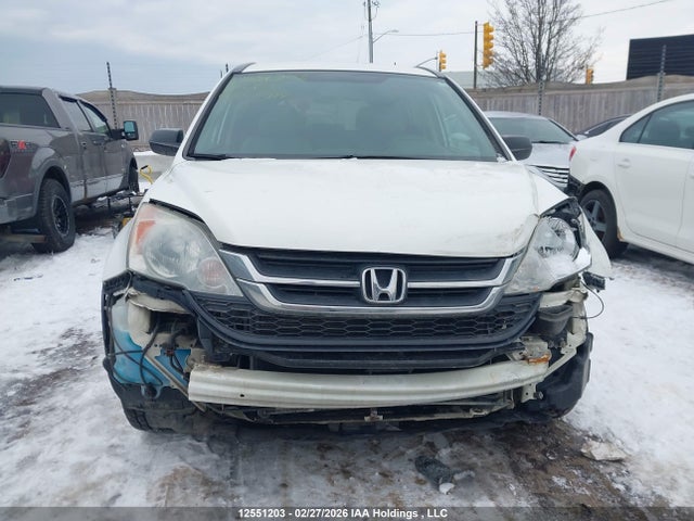 Aukcja sprzedaży 2010 Honda Cr-v Lx, vin: 5J6RE4H31AL800914, numer aukcji: 12551203