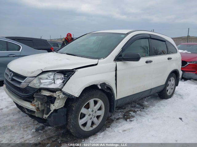 Aukcja sprzedaży 2010 Honda Cr-v Lx, vin: 5J6RE4H31AL800914, numer aukcji: 12551203