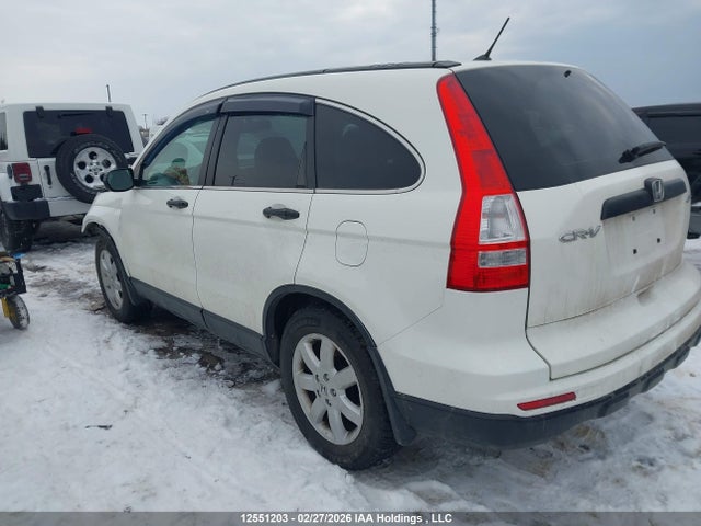 Aukcja sprzedaży 2010 Honda Cr-v Lx, vin: 5J6RE4H31AL800914, numer aukcji: 12551203