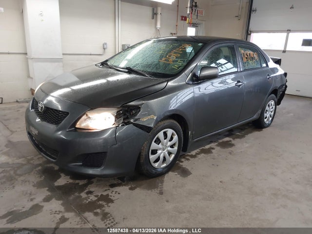 12587438 :رقم المزاد ، 2T1BU4EE7AC379367 vin ، 2010 Toyota Corolla مزاد بيع