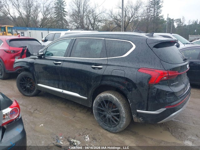 5NMS5DAL9MH338223 Hyundai Santa Fe Ultimate Calligraphy