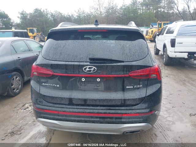 5NMS5DAL9MH338223 Hyundai Santa Fe Ultimate Calligraphy