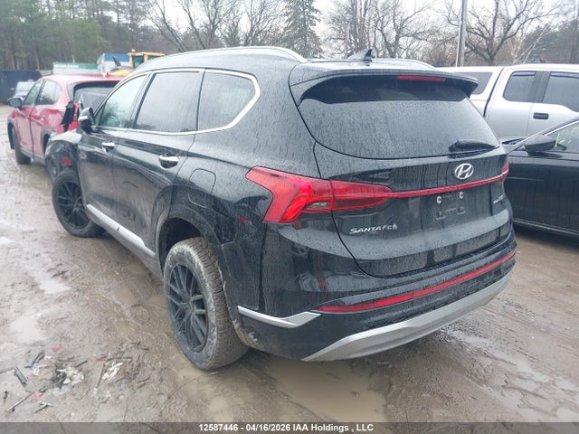 5NMS5DAL9MH338223 Hyundai Santa Fe Ultimate Calligraphy