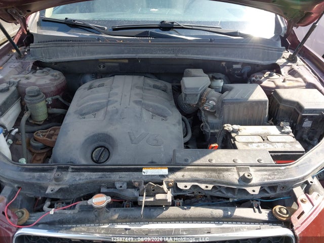 Продаж на аукціоні авто 2009 Hyundai Santa Fe, vin: 5NMSG13E19H285483, номер лоту: 12587449