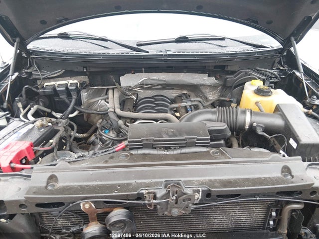 Продажа на аукционе авто 2014 Ford F150 Supercrew, vin: 1FTFW1EF4EFA33406, номер лота: 12587486