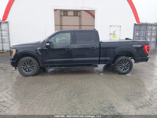 Продаж на аукціоні авто 2021 Ford F150 Supercrew, vin: 1FTFW1E85MFC74665, номер лоту: 12587496