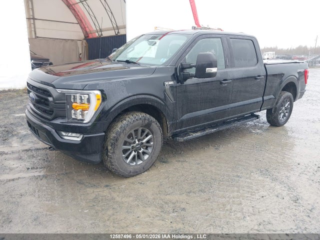 Продаж на аукціоні авто 2021 Ford F150 Supercrew, vin: 1FTFW1E85MFC74665, номер лоту: 12587496