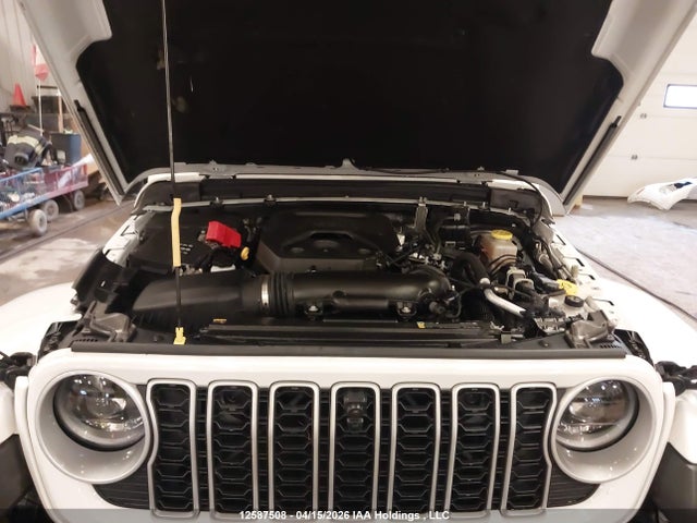 Aukcja sprzedaży 2025 Jeep Wrangler Sahara, vin: 1C4PJXEN0SW567382, numer aukcji: 12587508