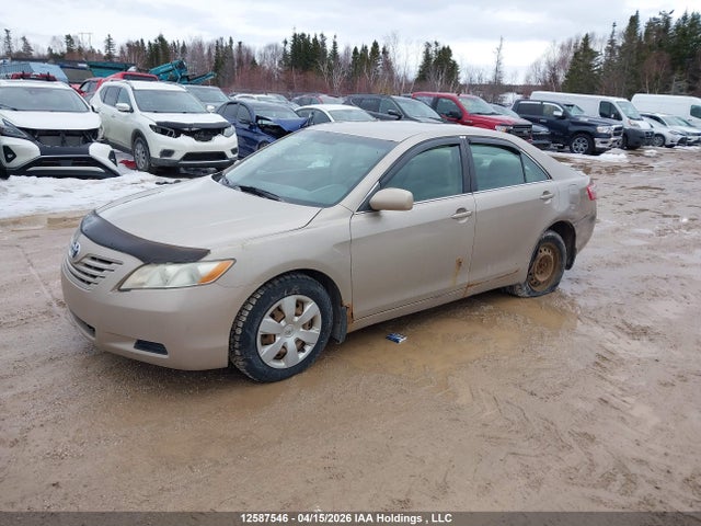 12587546 :رقم المزاد ، 4T1BE46K49U276242 vin ، 2009 Toyota Camry Se/le/xle مزاد بيع