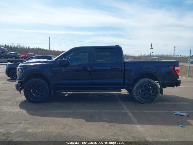 Продаж на аукціоні авто 2023 Ford F-150 Xl, vin: 1FTEW1EP3PKF24077, номер лоту: 12587556