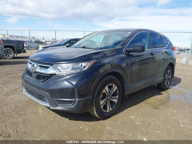 Aukcja sprzedaży 2017 Honda Cr-v Lx, vin: 2HKRW2H20HH124355, numer aukcji: 12587623