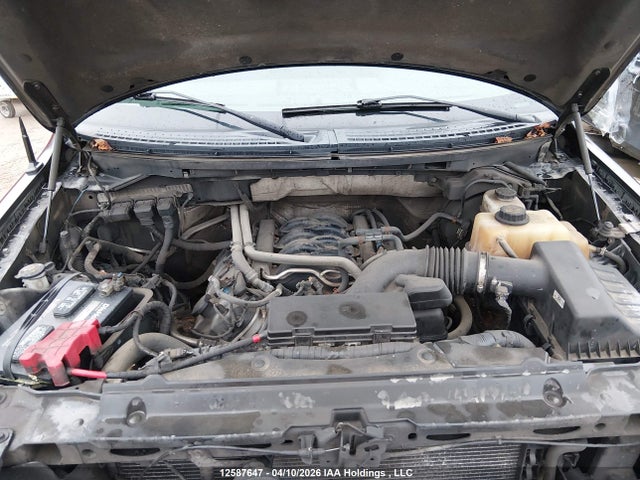 12587647 :رقم المزاد ، 1FTFW1EF4DFB61854 vin ، 2013 Ford F150 Supercrew مزاد بيع