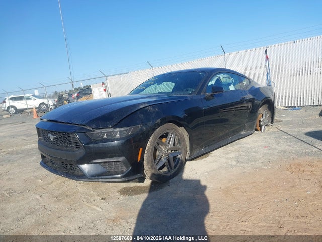 Продажа на аукционе авто 2025 Ford Mustang Ecoboost, vin: 1FA6P8TH4S5114620, номер лота: 12587669