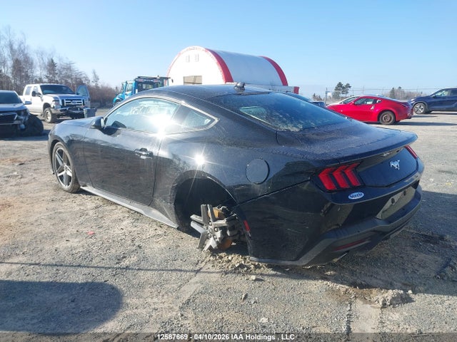 Продажа на аукционе авто 2025 Ford Mustang Ecoboost, vin: 1FA6P8TH4S5114620, номер лота: 12587669