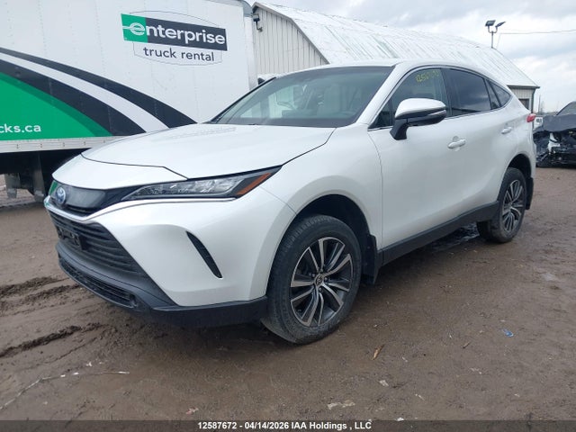 2024 Toyota Venza Le/xle/limited/night Shade მანქანა იყიდება აუქციონზე, vin: JTEAAAAH3RJ184879, აუქციონის ნომერი: 12587672