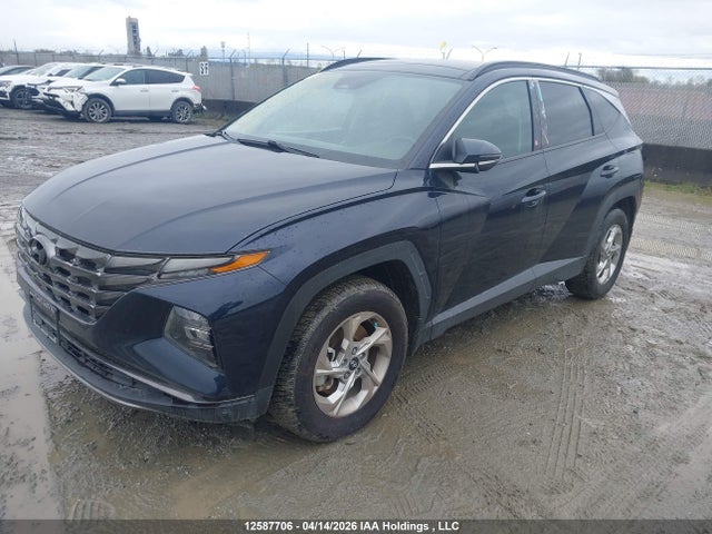 Продаж на аукціоні авто 2024 Hyundai Tucson Sel, vin: KM8JCCDE5RU311914, номер лоту: 12587706