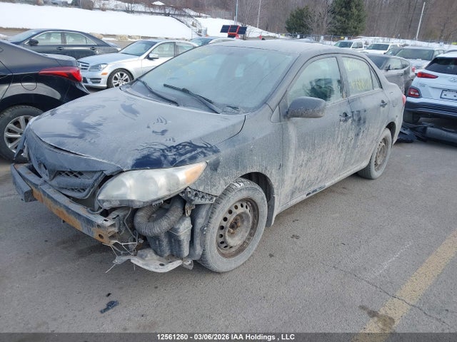 12561260 :رقم المزاد ، 2T1BU4EE8BC666377 vin ، 2011 Toyota Corolla Ce مزاد بيع