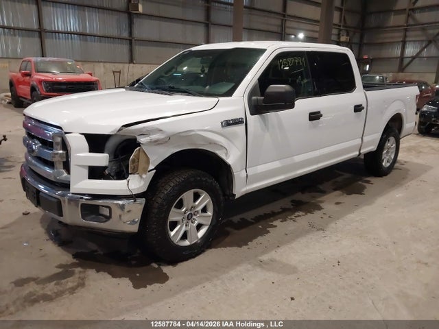 Продажа на аукционе авто 2017 Ford F-150, vin: 1FTFW1EF9HKD36502, номер лота: 12587784