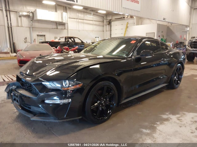 Продажа на аукционе авто 2019 Ford Mustang, vin: 1FA6P8TH2K5102823, номер лота: 12587861