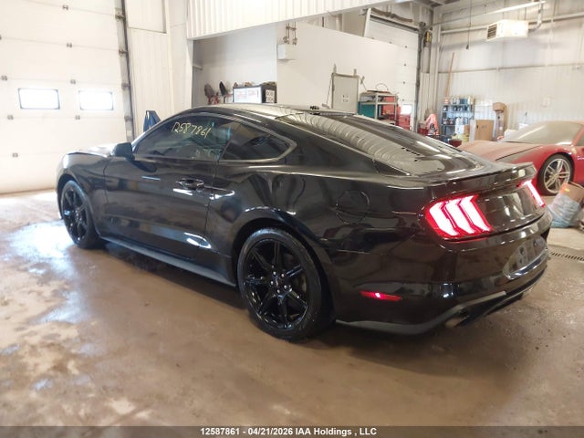 Продажа на аукционе авто 2019 Ford Mustang, vin: 1FA6P8TH2K5102823, номер лота: 12587861