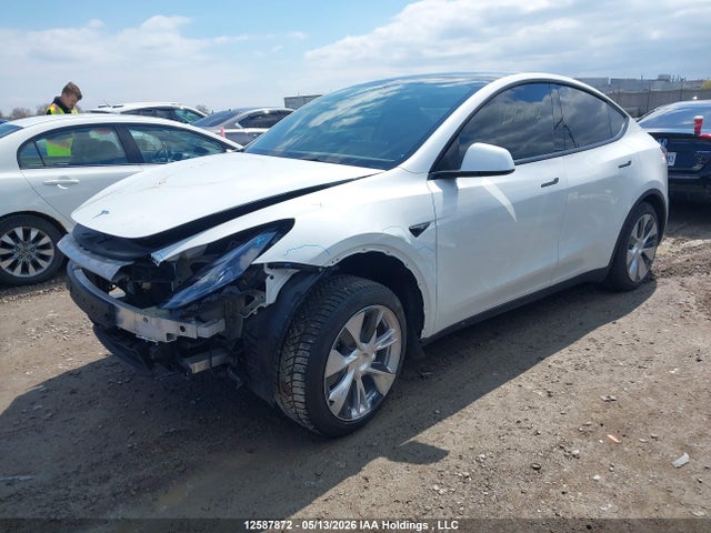 Продажа на аукционе авто 2024 Tesla Model Y Long Range/rwd, vin: 7SAYGDED9RF991248, номер лота: 12587872