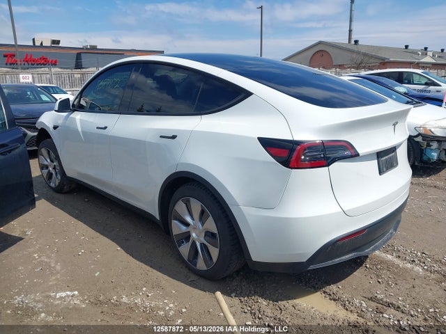 Продажа на аукционе авто 2024 Tesla Model Y Long Range/rwd, vin: 7SAYGDED9RF991248, номер лота: 12587872