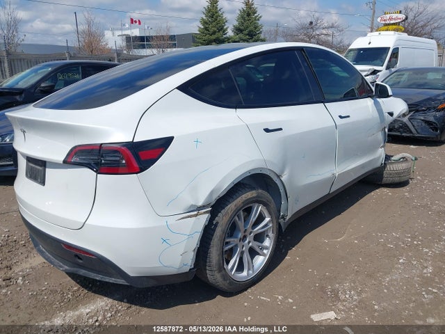Продажа на аукционе авто 2024 Tesla Model Y Long Range/rwd, vin: 7SAYGDED9RF991248, номер лота: 12587872