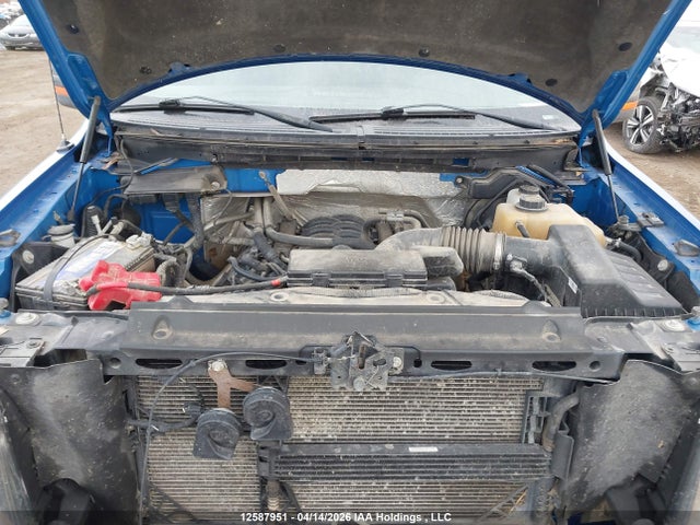 Продажа на аукционе авто 2012 Ford F-150 Xlt, vin: 1FTFW1EF5CFA31841, номер лота: 12587951