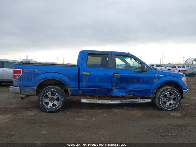 Продажа на аукционе авто 2012 Ford F-150 Xlt, vin: 1FTFW1EF5CFA31841, номер лота: 12587951