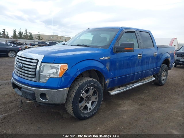 Продажа на аукционе авто 2012 Ford F-150 Xlt, vin: 1FTFW1EF5CFA31841, номер лота: 12587951