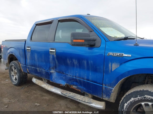 Продажа на аукционе авто 2012 Ford F-150 Xlt, vin: 1FTFW1EF5CFA31841, номер лота: 12587951