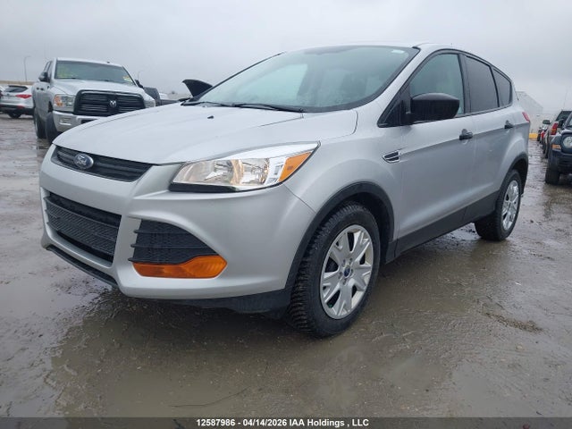 Продажа на аукционе авто 2014 Ford Escape S, vin: 1FMCU0F74EUD20584, номер лота: 12587986