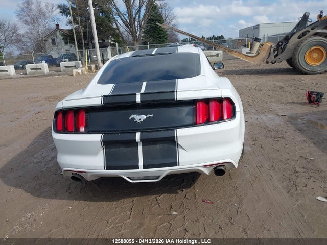 12588055 :رقم المزاد ، 1FA6P8TH9G5313590 vin ، 2016 Ford Mustang Ecoboost مزاد بيع