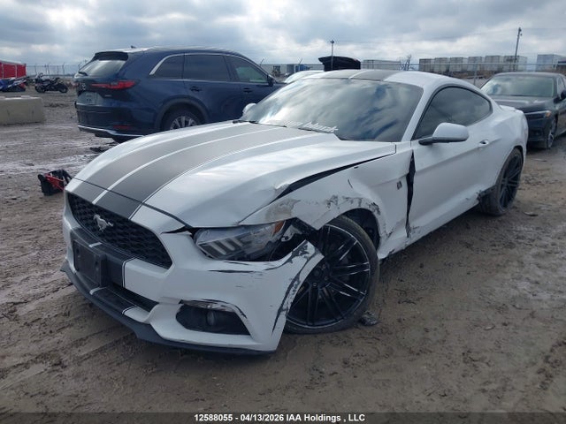 12588055 :رقم المزاد ، 1FA6P8TH9G5313590 vin ، 2016 Ford Mustang Ecoboost مزاد بيع