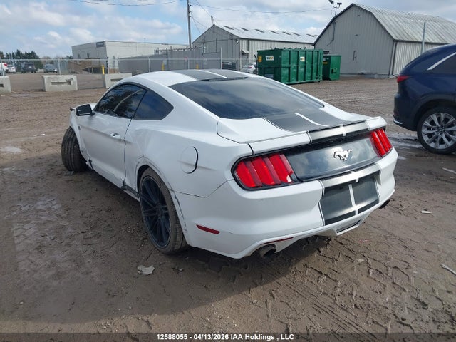 12588055 :رقم المزاد ، 1FA6P8TH9G5313590 vin ، 2016 Ford Mustang Ecoboost مزاد بيع