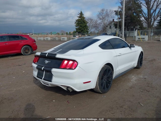 12588055 :رقم المزاد ، 1FA6P8TH9G5313590 vin ، 2016 Ford Mustang Ecoboost مزاد بيع