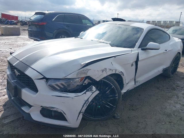 12588055 :رقم المزاد ، 1FA6P8TH9G5313590 vin ، 2016 Ford Mustang Ecoboost مزاد بيع