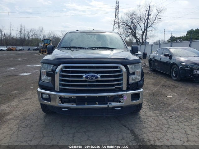 Продаж на аукціоні авто 2016 Ford F-150, vin: 1FTEW1EG7GKD07079, номер лоту: 12588198