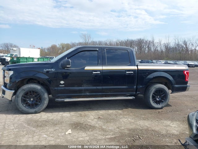 Продаж на аукціоні авто 2016 Ford F-150, vin: 1FTEW1EG7GKD07079, номер лоту: 12588198