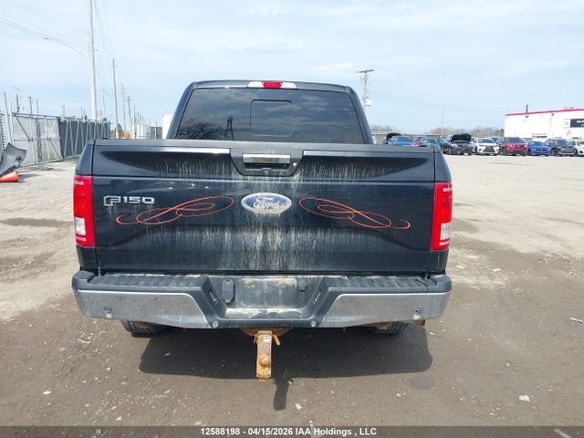Продаж на аукціоні авто 2016 Ford F-150, vin: 1FTEW1EG7GKD07079, номер лоту: 12588198
