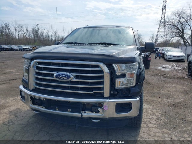 Продаж на аукціоні авто 2016 Ford F-150, vin: 1FTEW1EG7GKD07079, номер лоту: 12588198