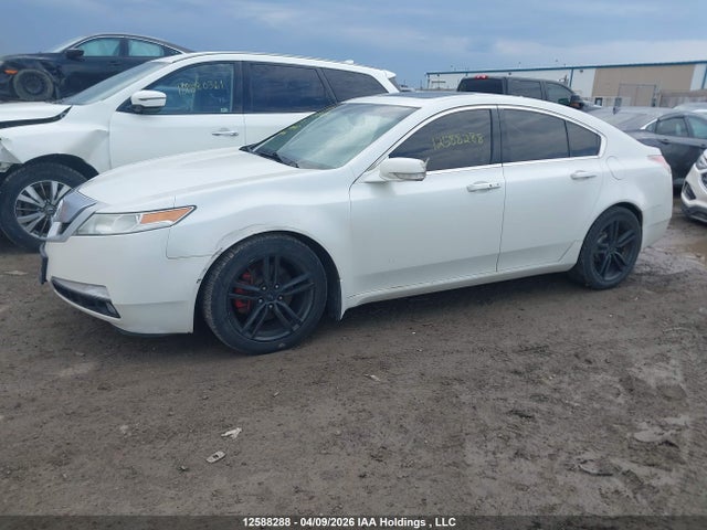 Продажа на аукционе авто 2010 Acura Tl, vin: 19UUA8F54AA801107, номер лота: 12588288