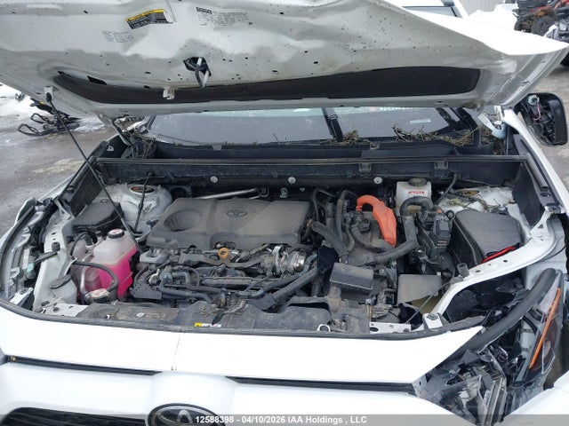 2025 Toyota Rav4 Xle/woodland Edition მანქანა იყიდება აუქციონზე, vin: 2T3RWRFVXSW261325, აუქციონის ნომერი: 12588398