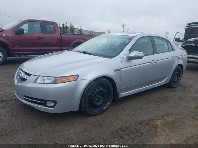 Продаж на аукціоні авто 2008 Acura Tl, vin: 19UUA66288A800790, номер лоту: 12588470