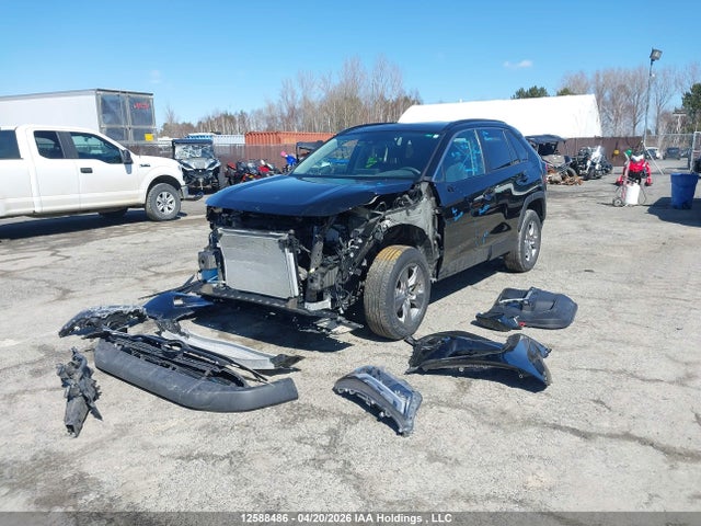 Toyota Rav4 Xle 2024 2T3R1RFV0RC444906 Image 12