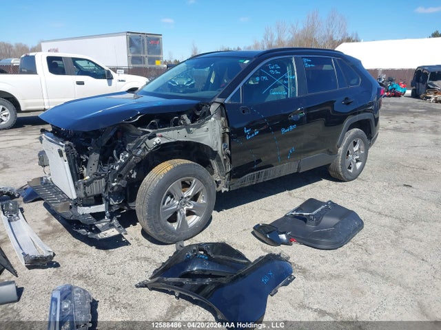 Toyota Rav4 Xle 2024 2T3R1RFV0RC444906 Image 2