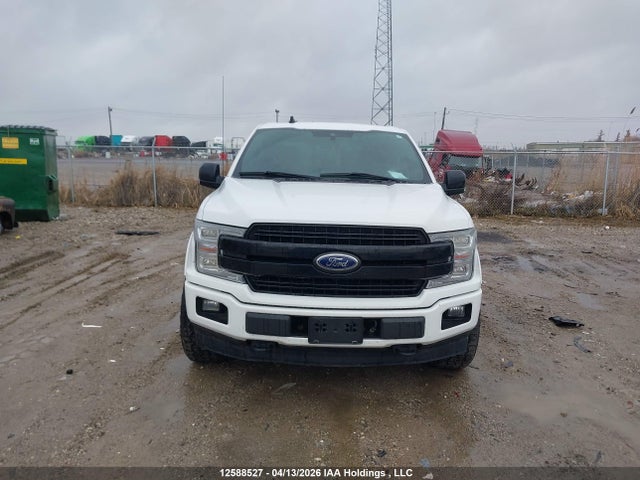 Ford F150 Supercrew 2019 1FTFW1E53KFB91903 Image 12