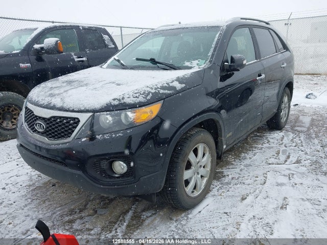 2013 Kia Sorento Lx მანქანა იყიდება აუქციონზე, vin: 5XYKTCA65DG385642, აუქციონის ნომერი: 12588555