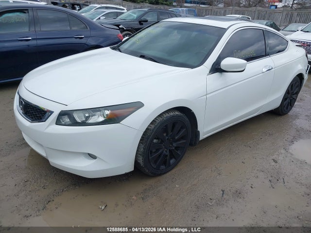 Продаж на аукціоні авто 2010 Honda Accord Ex-l V6, vin: 1HGCS2B81AA800485, номер лоту: 12588685